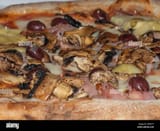 images - 2025-06-14T063554.542