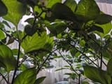 PXL_20250614_114614329b