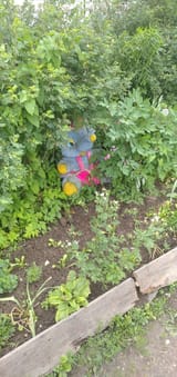IMG_20250614_160607_1