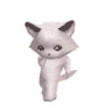 dancing cat
