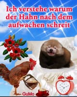 IMG_20250320_093511_037