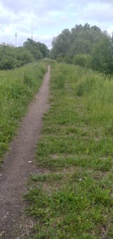 IMG_20250614_162414_1