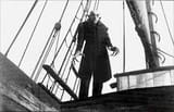 nosferatu