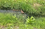 IMG_20250614_162845
