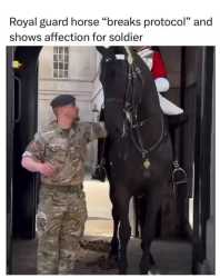 horse_thumb.jpg