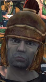 Hastati(confused)