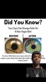 veganeyes