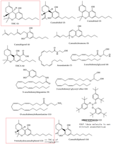 Chemical-structures-of-9-tetrahydrocannabinol-THC-1-cannabidiol-2-1805370296