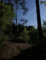 1749187110384271
