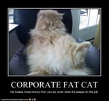 fat cat CEO