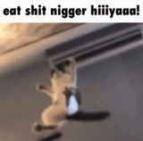1749280383457958