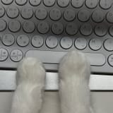 hands