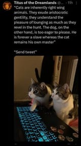 6476181-684c56a6f659cd14bb46862db628088c