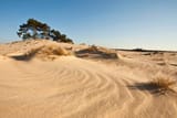 kootwijkerzand (2)
