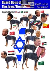 dogs_israel