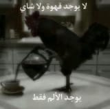 1740027100313506
