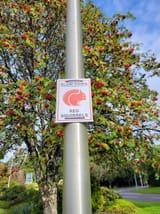20240913_162623-min
