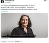 Skärmbild 2025-06-14 210834