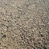 القاهرة