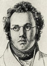 1821_Drawing_of_Franz_Schubert_by_Josef_Kupelwieser
