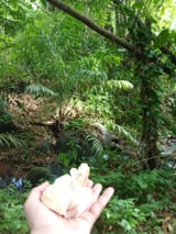 IMG_20250607_091926