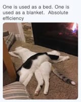 blanket and bed