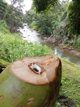 IMG_20250607_083513