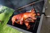 BARBECUED-HOG