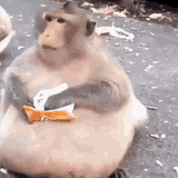 uncle fatty eating
