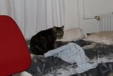 IMG_0370