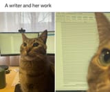 GWzzHgUWkAAYKGz