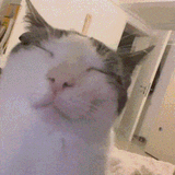 me rn