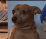 200