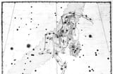 the-constellation-perseus-amnhomikron