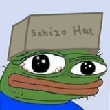 schizo hat