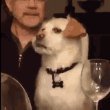 14534