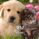 мы_(ты_пёс)