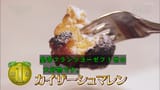 世界ふれあい街歩き 宮廷文化薫る音楽の都 ウィーン 〜オーストリア〜_20240604-095944