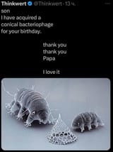 tardigrade birthday