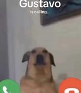 1723268510782753