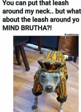 leash