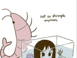 sadfdsdfg