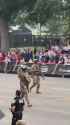 trump parade 2025_thumb.jpg
