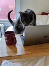 GXcI0s9WcAATRF_