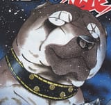 BenizakuraColorManga