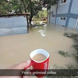 1732986848071353