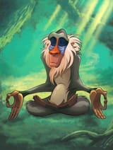Rafiki-wisdom