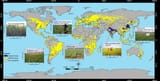 croplands-distribution-optimized