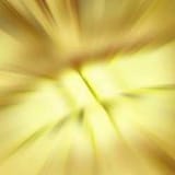 1736387567522323