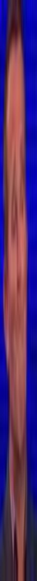1740562690032387